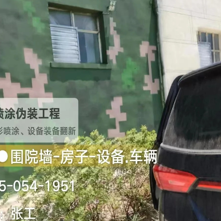 德州数码迷彩漆施工